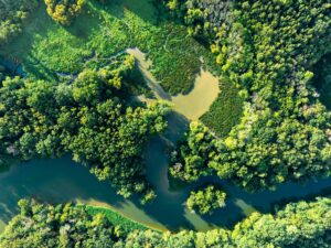 NOMADICS featured by the Small Environmental Business Action Coalition